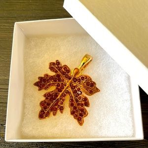 RMN Magnetic Brooch in beautiful leaf design!